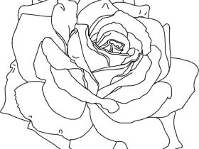 Rose coloring pages printable