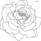 Rose coloring pages printable