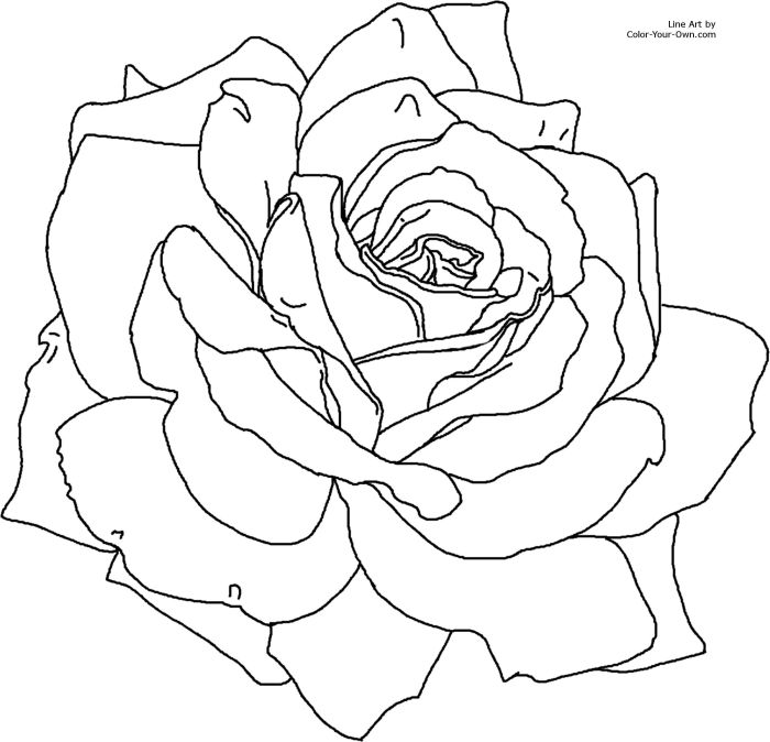 Rose coloring pages printable