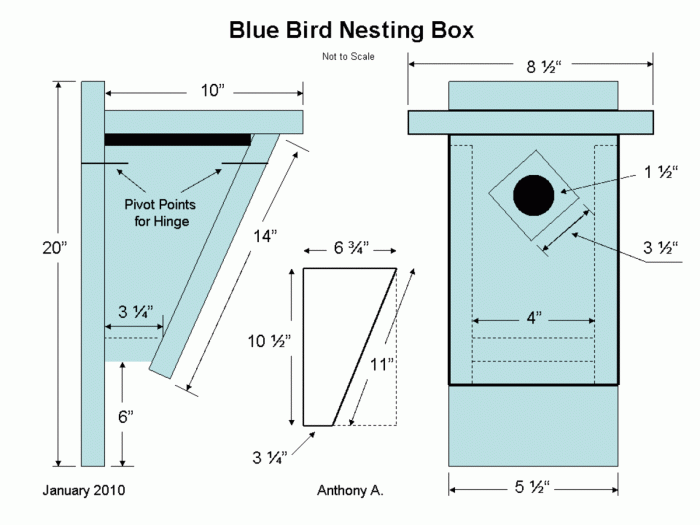 Peterson bluebird house design