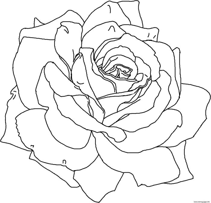 Rose coloring pages printable