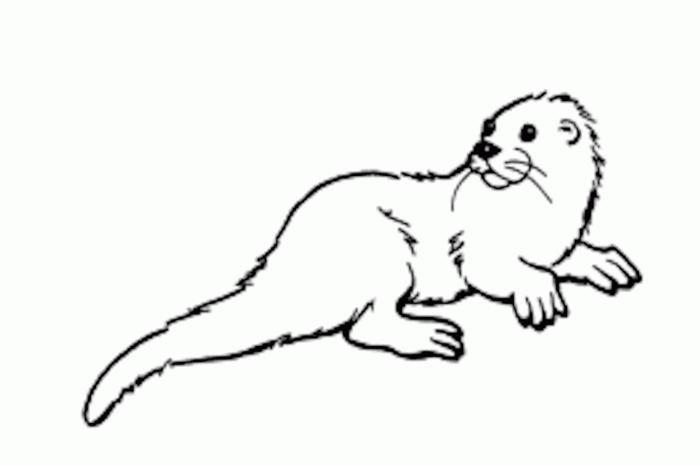 Mongoose clipart library white otter clip