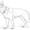 Coloring pages of german shepherd dog