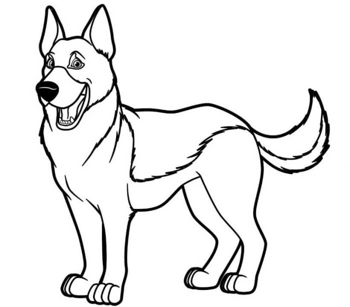 German coloring shepherd pages kids outside