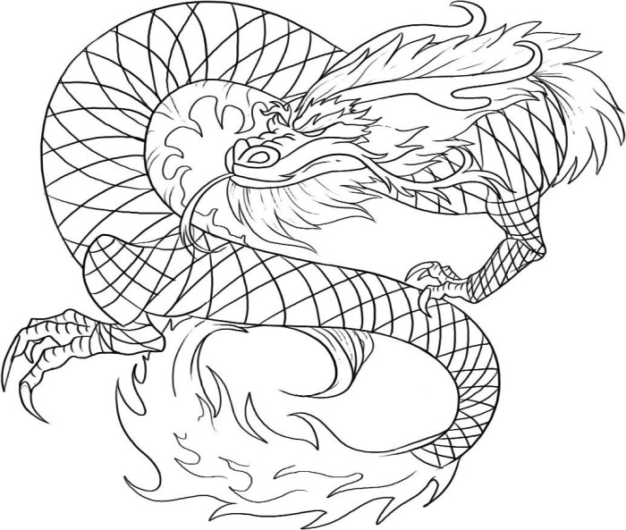 Dragon coloring page for kids