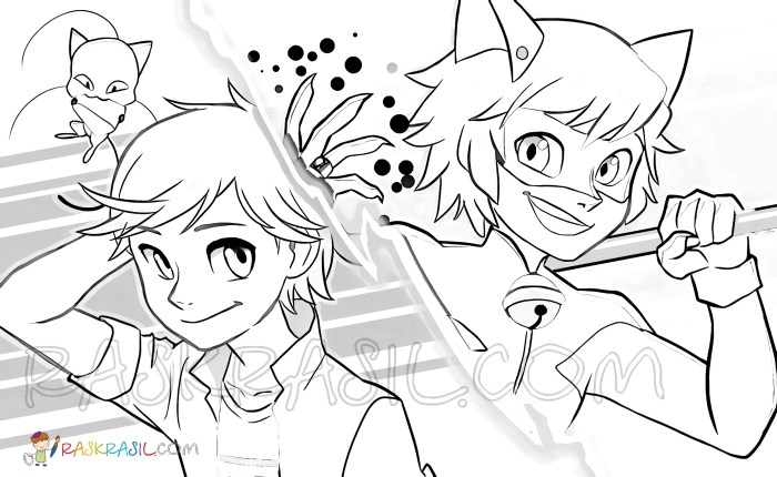 Ladybug and cat noir coloring page