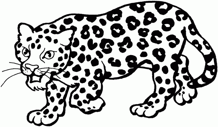 Coloring pages of a leopard