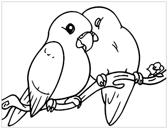 Bird coloring games for kids