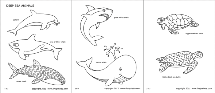 Sea animals coloring page