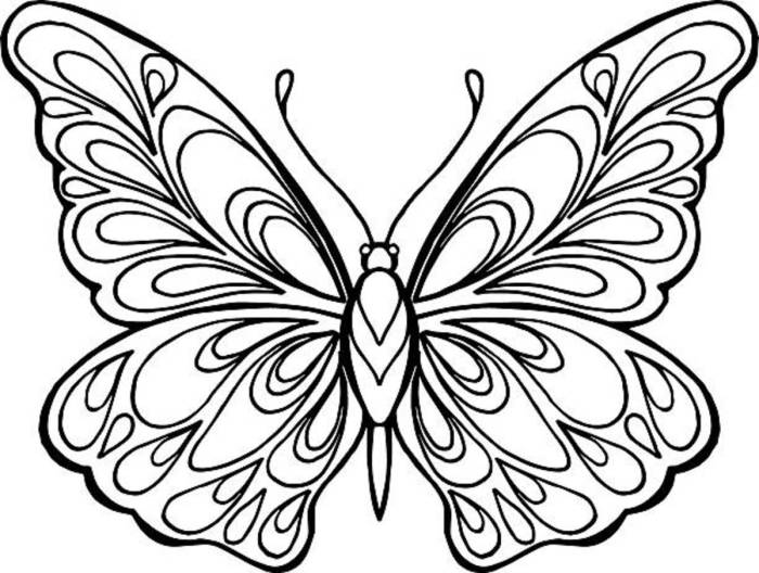 Free coloring pages of butterflies