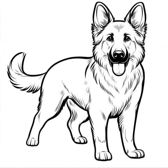 Coloring pages of german shepherd dog