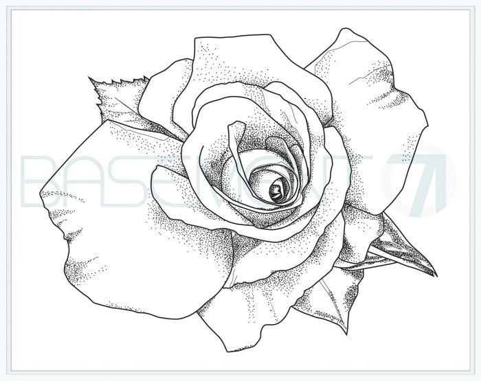 Rose coloring pages printable