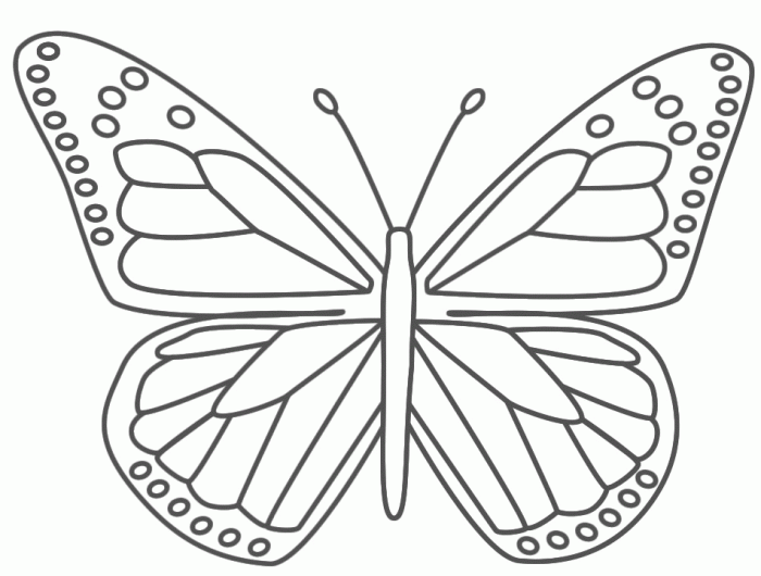 Free coloring pages of butterflies