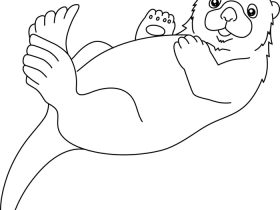 Otter coloring pages