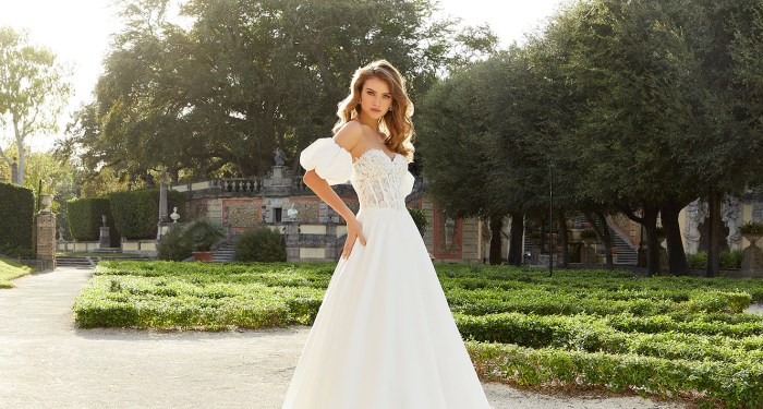 Princess corset wedding dresses